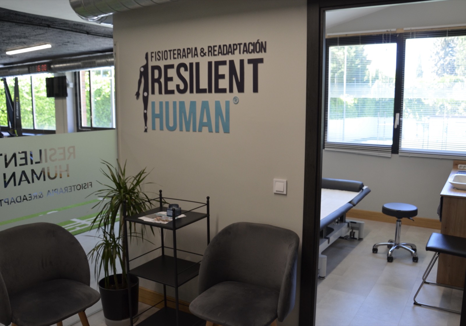Recepción y consulta de Resilient Human